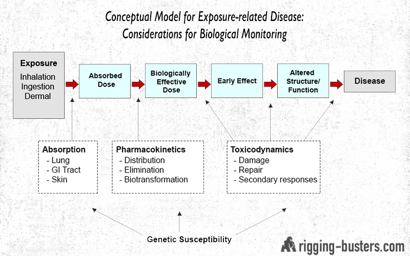 Environmental Exposure Considerations